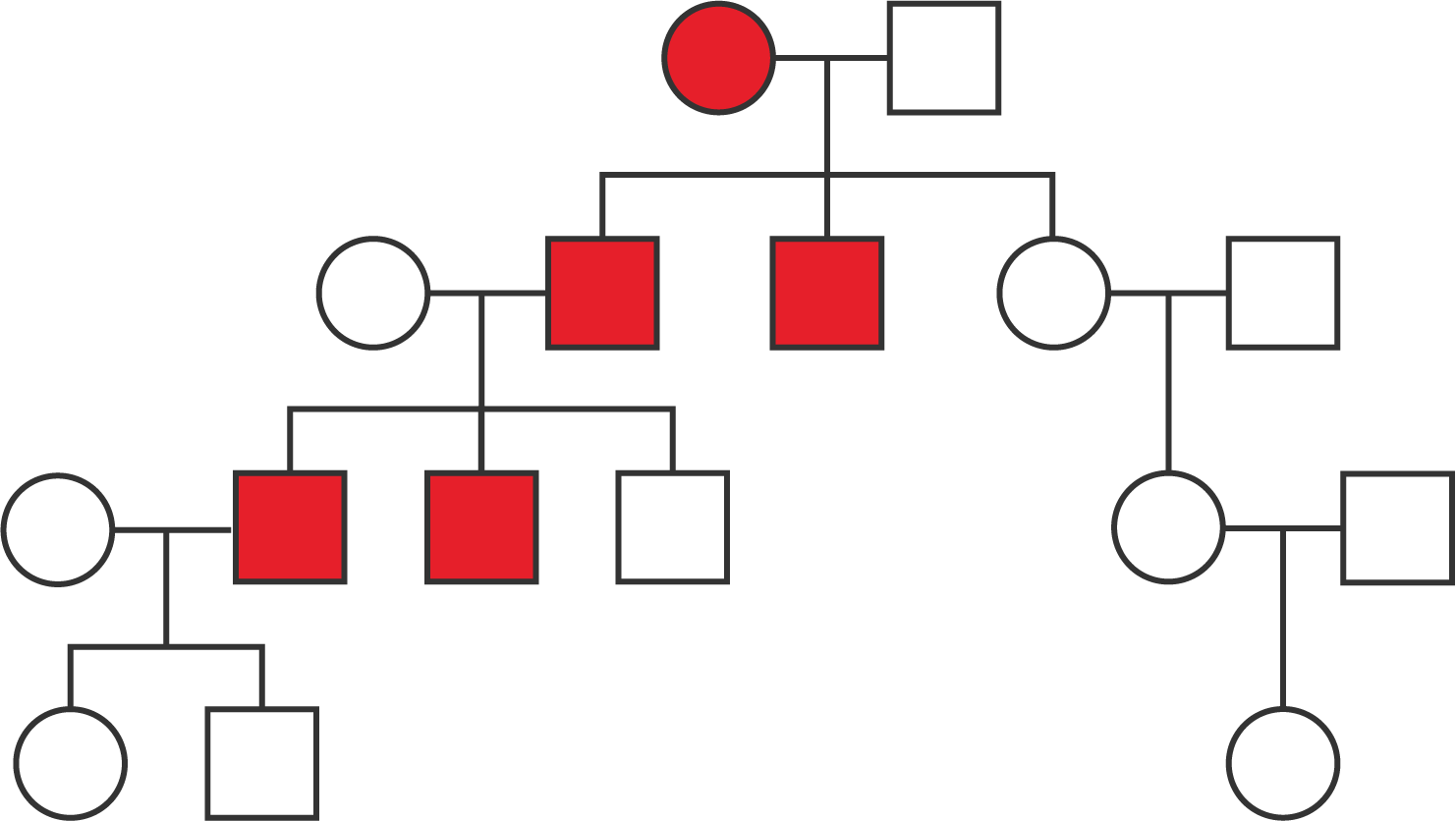 A pedigree with four generations.